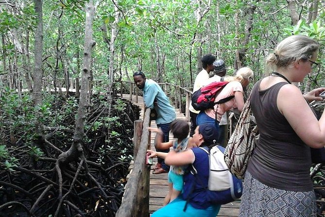 Day Trip to Jozani Forest with Kizimkazi Dolphins View - Book on Tour Vigator