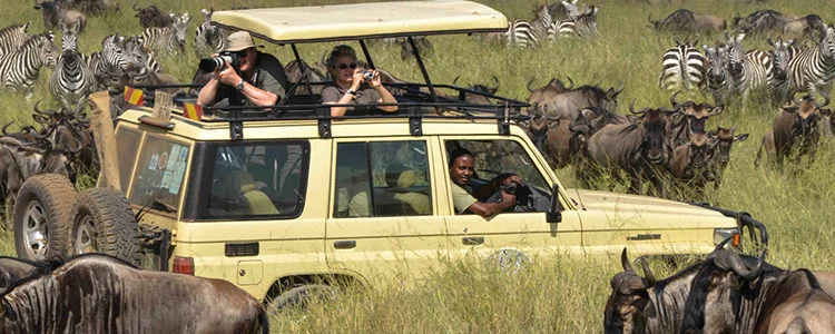 2 Days 1 Night: Zanzibar - Tarangire - Ngorongoro - Zanzibar - thumbnail 4