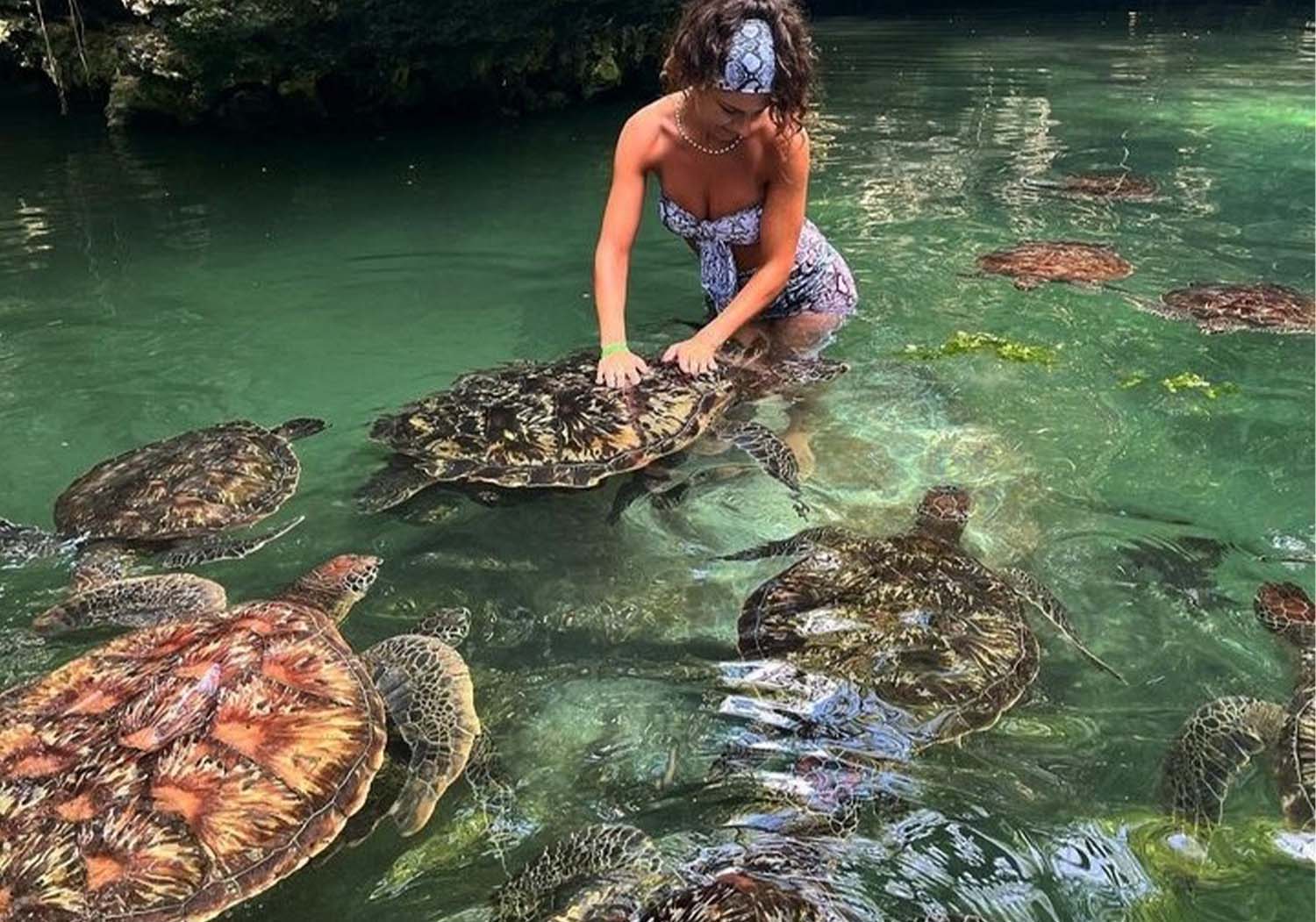 Zanzibar: Baraka Turtle Aquarium Tour with Hotel Transfers - thumbnail 3