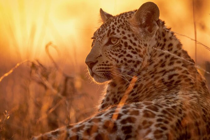 2 Days 1 Night: Zanzibar - Tarangire - Ngorongoro - Zanzibar - Book on Tour Vigator