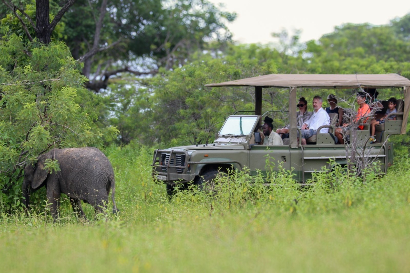 2 Days 1 Night: Zanzibar - Selous Game Reserve - Zanzibar - Book on Tour Vigator