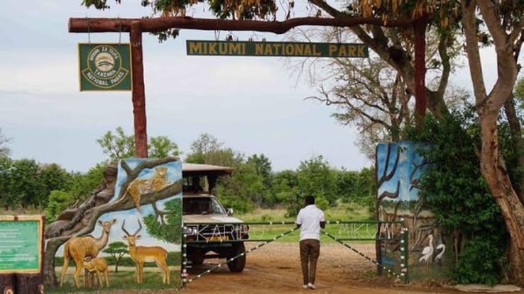 3 Days Mikumi National Park & Maasai Village Safari from Zanzibar - Book on Tour Vigator