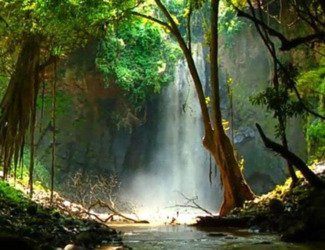 Ethiopia, 4 Days Chebera Park Wildlife Safari Tour - thumbnail 4