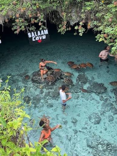 Zanzibar Spice Tour, Jozani Forest & Salaam Cave - thumbnail 3