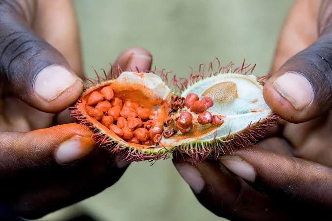 Stone Town & Spice Farm Tour – Culture, History & Flavors of Zanzibar - thumbnail 2