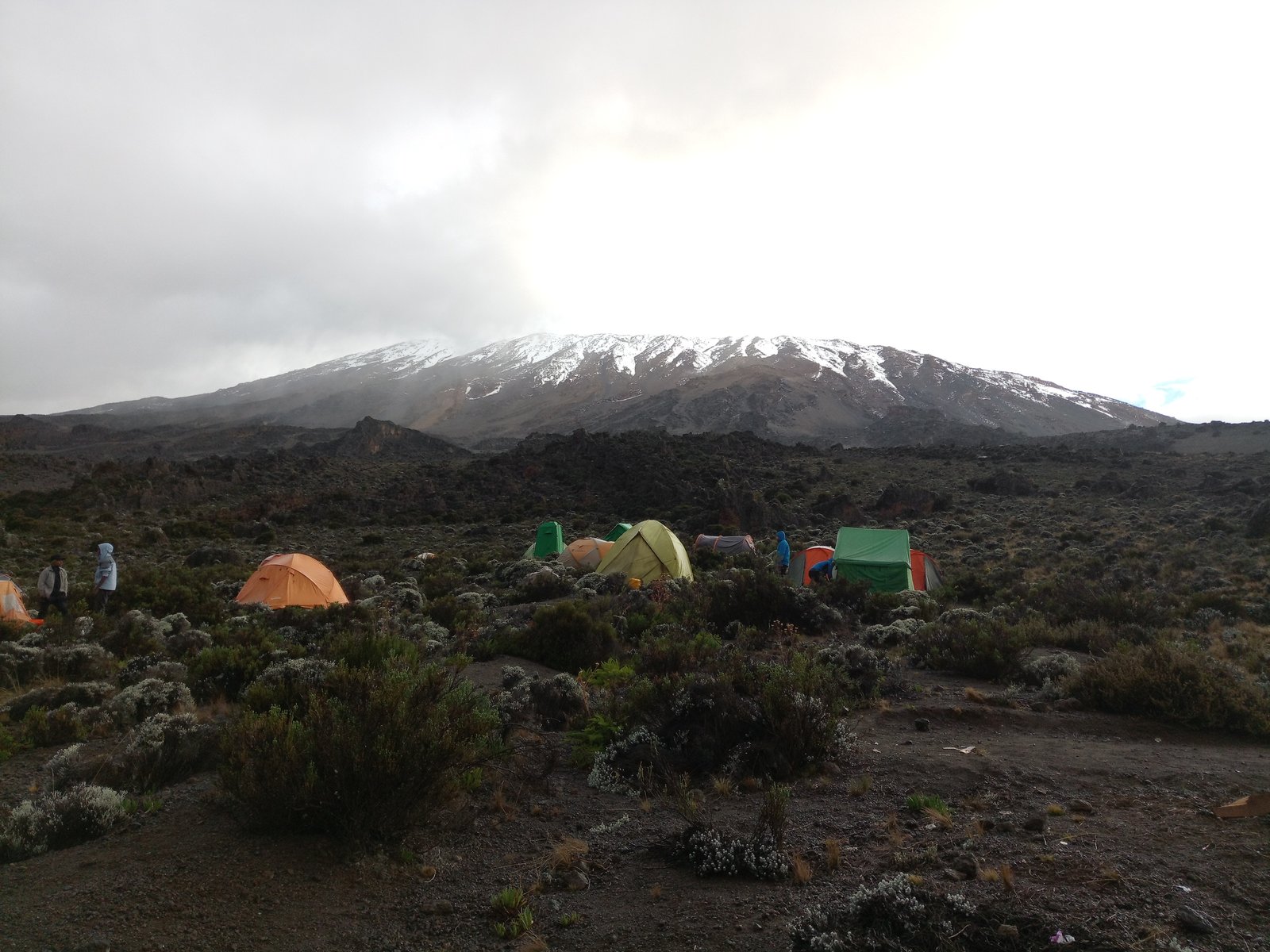 7-Day Umbwe Route Trek – Mount Kilimanjaro - thumbnail 4