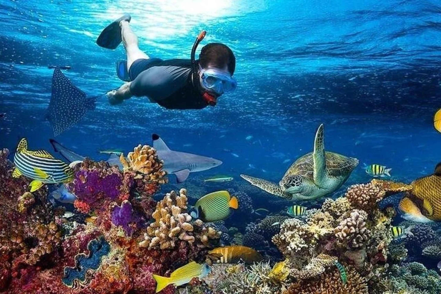 Half-Day Mnemba Island Snorkeling Tour - thumbnail 4