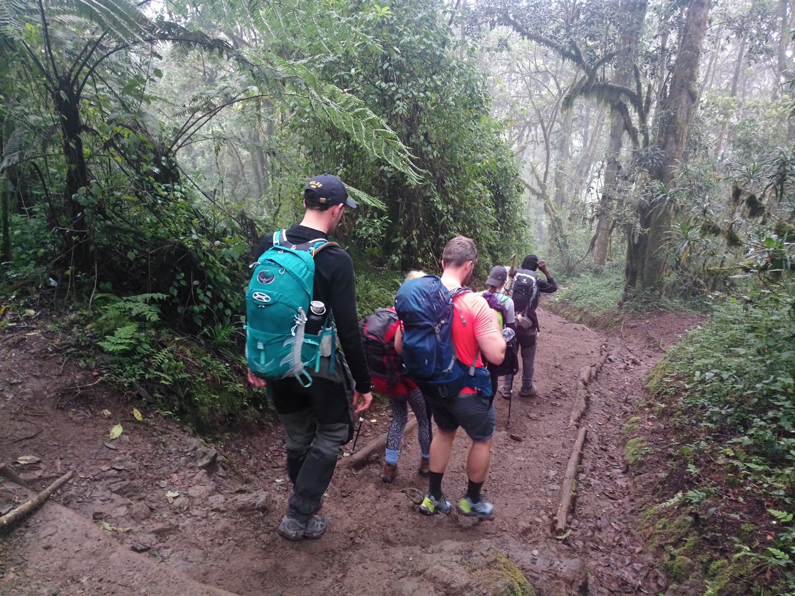 9 Days Lemosho Route Trek Mount Kilimanjaro, staying at Crater - thumbnail 3