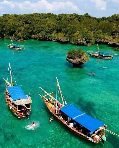 Safari Blue Shared Boat Tour with Private Transfer - thumbnail 2