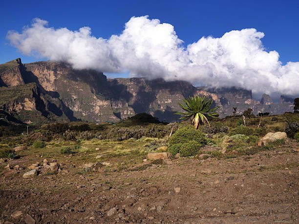Trekking Tours to Simien Mountains - thumbnail 2