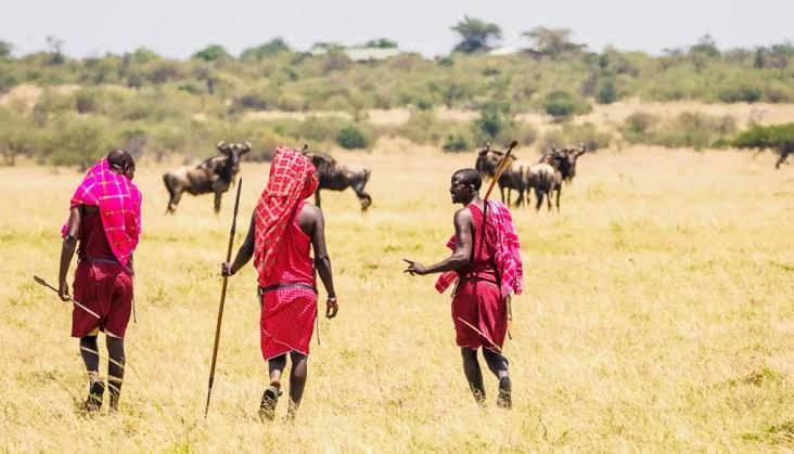 3 Days Mikumi National Park & Maasai Village Safari from Zanzibar - thumbnail 2