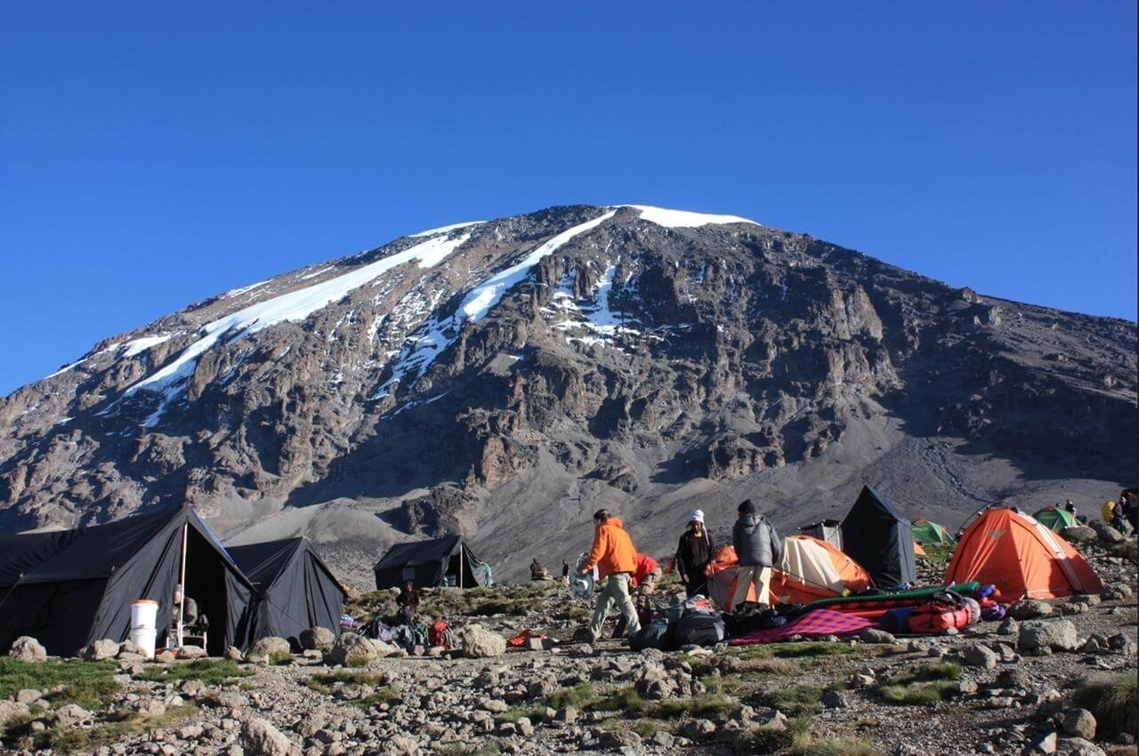 7 Days Machame Route Mount Kilimanjaro Trek - Book on Tour Vigator