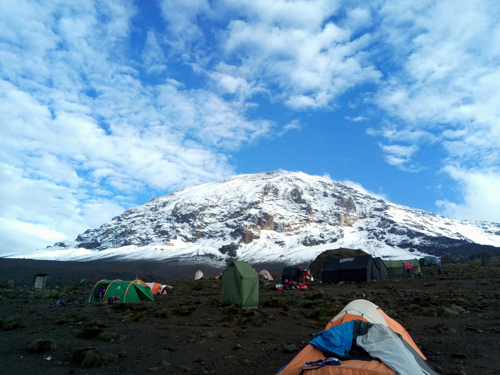 7 Days Lemosho Route Trek Mount Kilimanjaro - thumbnail 3