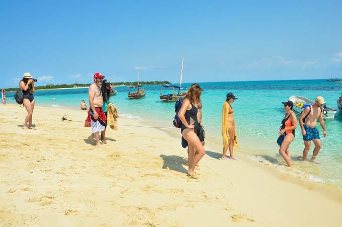 Full Day Blue Lagoon and Sandbank Boat Tour from Zanzibar (Safari Blue) - thumbnail 4