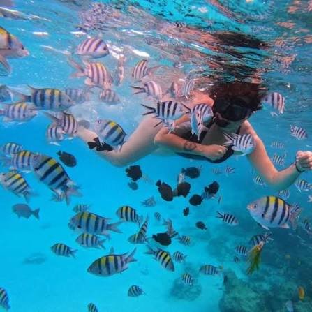 Full Day Blue Lagoon and Sandbank Boat Tour from Zanzibar (Safari Blue) - thumbnail 3