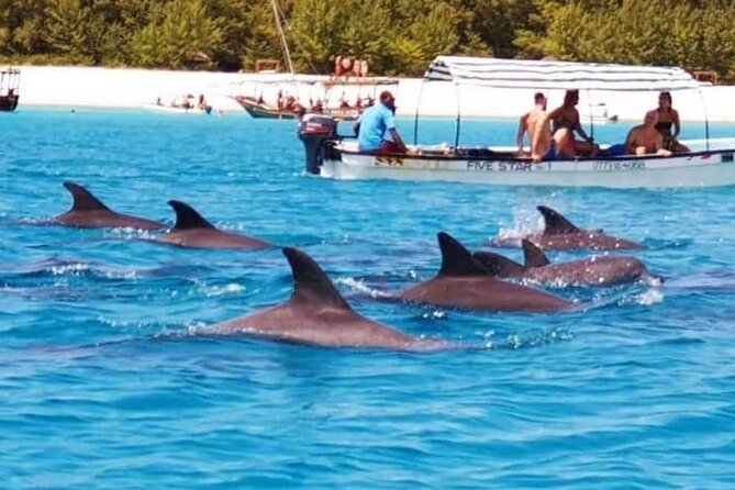 Half-Day Mnemba Island Snorkeling Tour - thumbnail 5