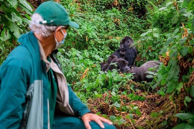 3 days Uganda gorilla trekking and Golden monkey from Kigali - thumbnail 2