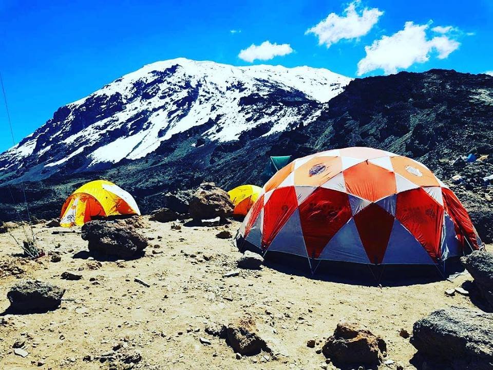 7 Days Lemosho Route Trek Mount Kilimanjaro - thumbnail 2