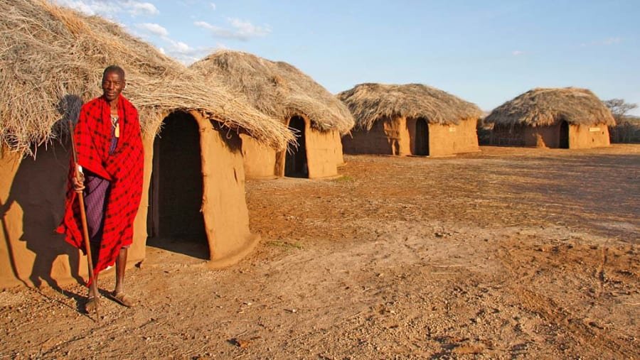 3 Days Mikumi National Park & Maasai Village Safari from Zanzibar - thumbnail 5