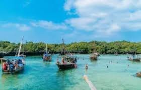 Safari Blue Shared Boat Tour with Private Transfer - Book on Tour Vigator