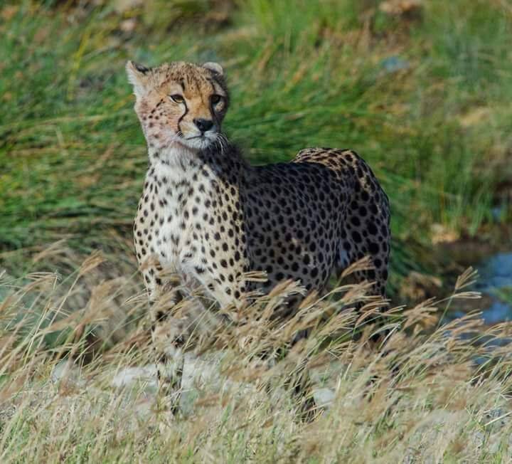 7-Day Journey Through Northern Tanzania - thumbnail 2