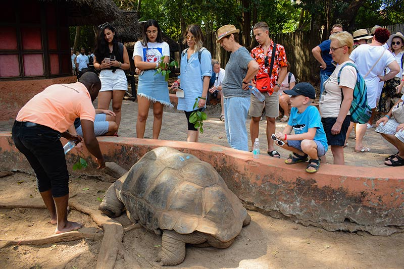 Stone Town Prison Island and Nakupenda Sandbank - thumbnail 5