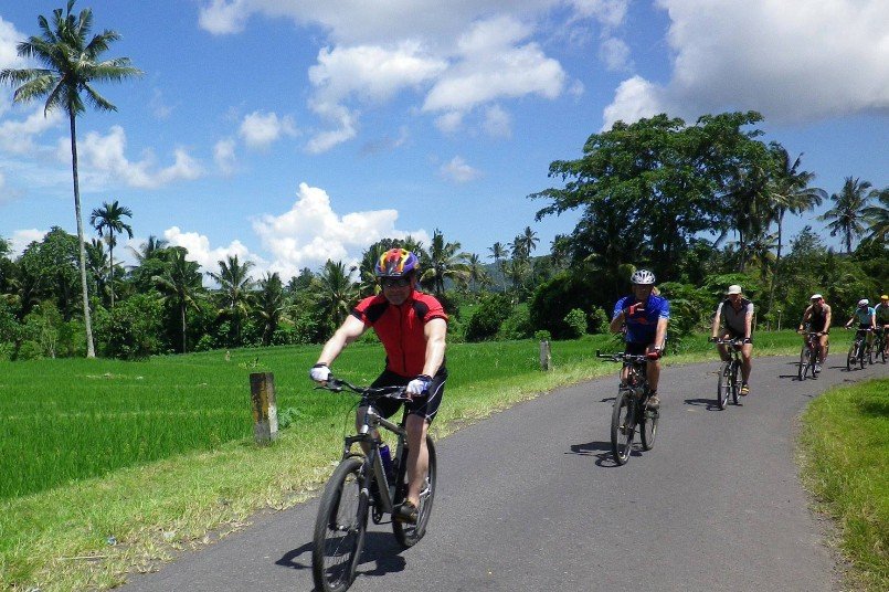 Mount Batur Downhill Cycling Adventure: Volcano Views & Village Life - thumbnail 4