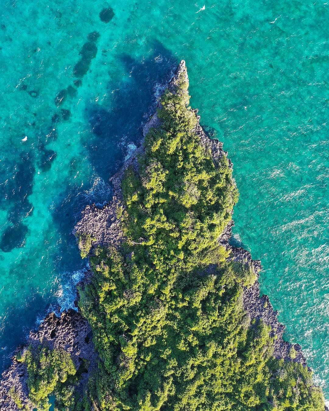 Safari Blue Tour - thumbnail 4