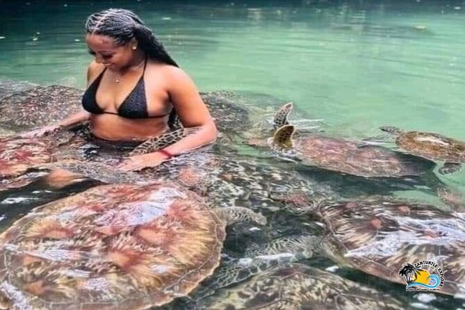 Zanzibar: Baraka Turtle Aquarium Tour with Hotel Transfers - Book on Tour Vigator