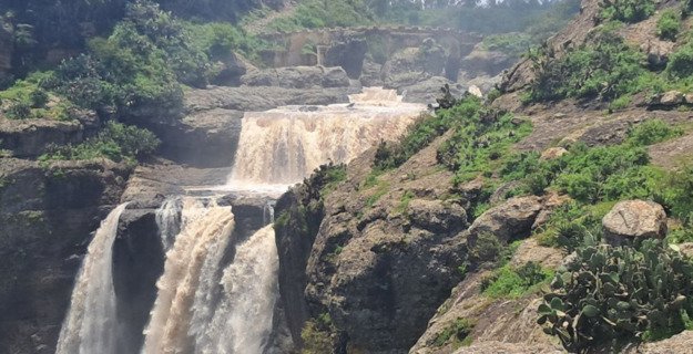 From Ethiopia, Exploring Monastic Marvels of Debre Libanos Monastery - thumbnail 5